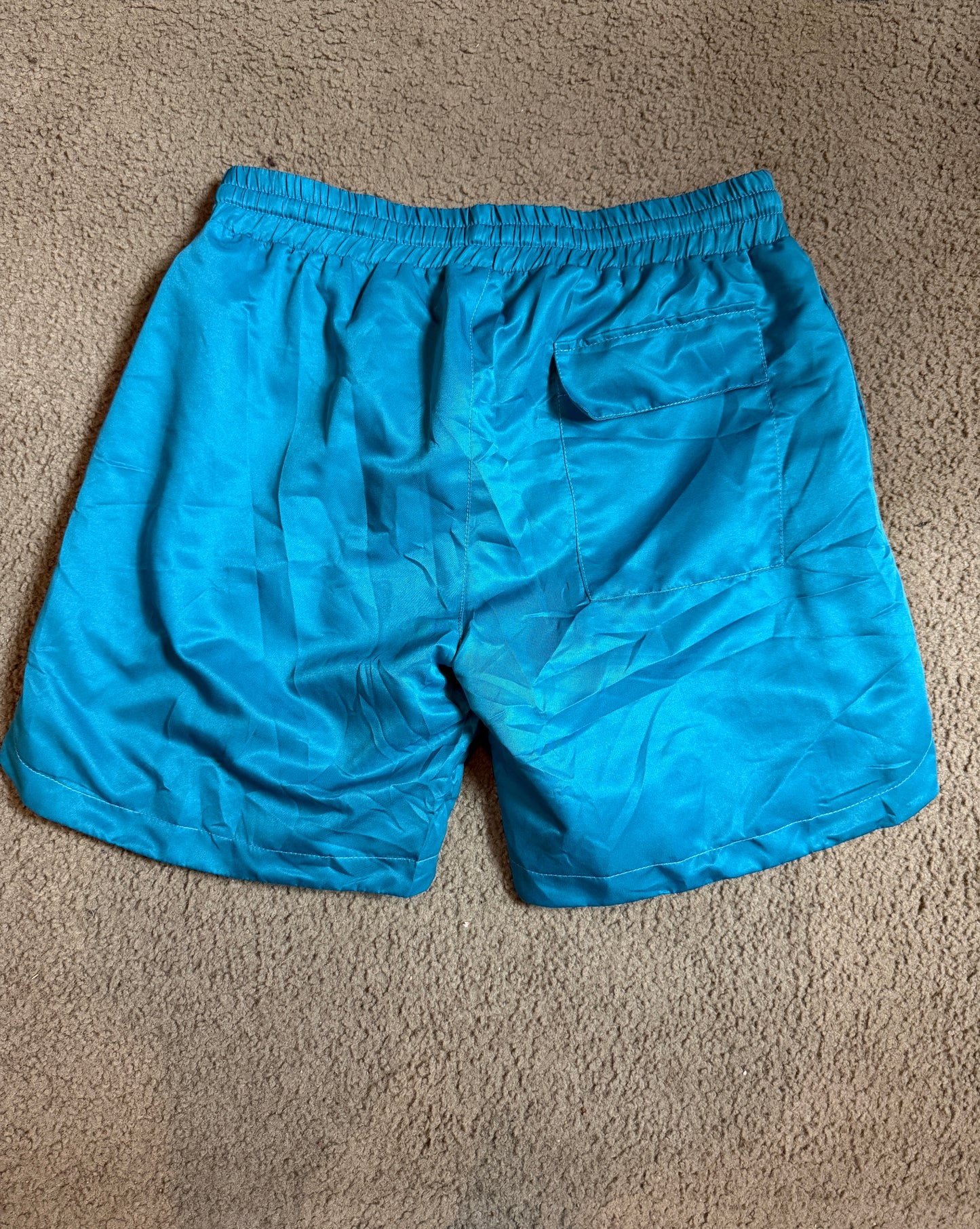 Freaknik teal shorts